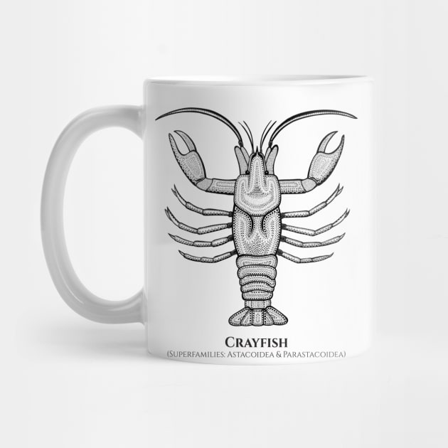 Crayfish with Common and Latin Names - detailed animal design by Green Paladin